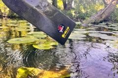 pfingsten_16_RP_2026 pfingsten_16_RP_2026