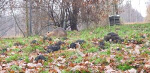 Die RUM-PADDLER beim Adventspaddeln 2021